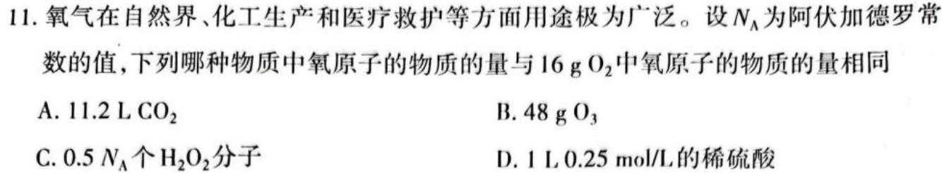 【热荐】九师联盟 2024届高三11月质量检测巩固卷(XG/LG/(新教材-L)G)化学