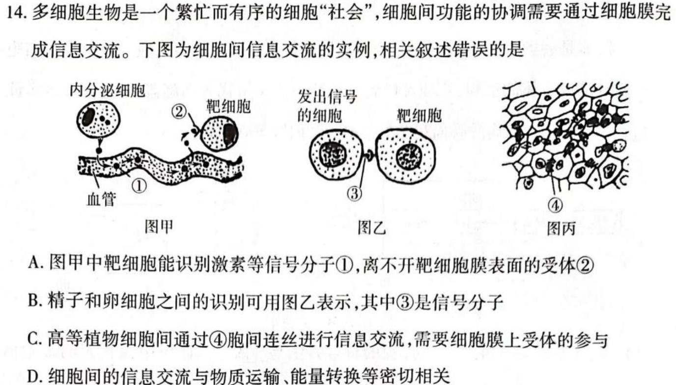 2024年普通高校招生考试仿真模拟卷(一)生物学部分