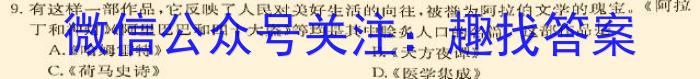 202412´¿αʷ