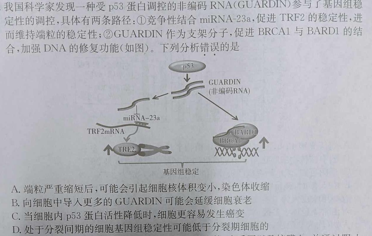 老教材老高考五省联考·2023-2024学年高三年级(二联)生物学部分