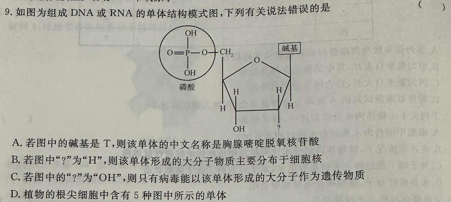 东北三省2023~2024学年上学期高三年级12月联考卷(243204Z)生物