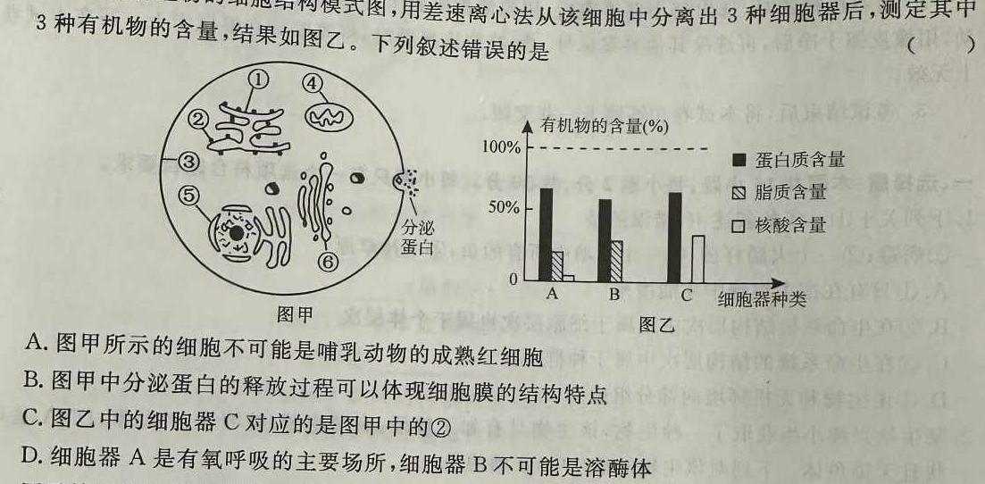 新高中创新联盟TOP二十名校高一年级12月调研考试(241242D)生物