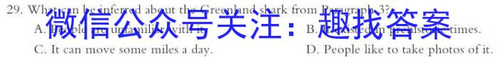 2023-2024学年安徽省九年级上学期阶段性练习（三）英语