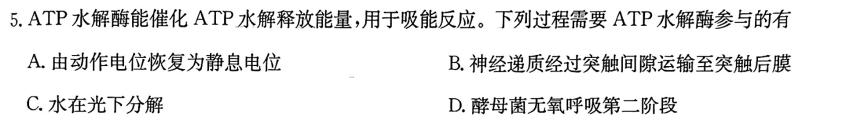 广东省2024届普通高中毕业班第二次调研考试（粤光联考）生物