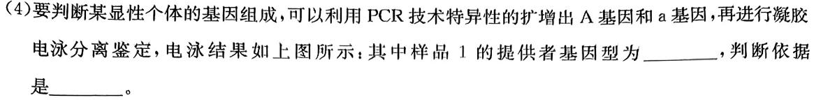 2024届衡水金卷先享题调研卷(JJ.AB)(二)生物学部分