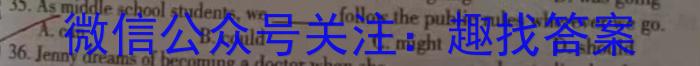 安徽省2023-2024学年度九年级阶段诊断(PGZXF-AH)(三)英语