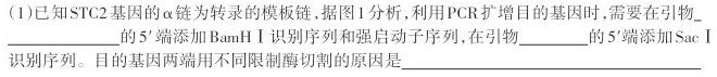 安徽省宿州市萧县某校2023-2024学年八年级第三次纠错生物