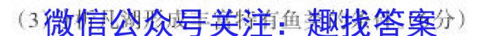 万唯中考·2024年山西省初中学业水平考试（会考黑卷）&政治