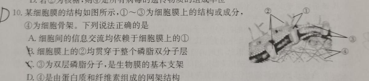 2023-2024学年重庆市高一考试12月联考(24-196A)生物