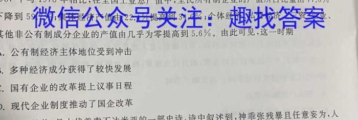 安徽省合肥市某校2023-2024学年九年级阶段检测历史