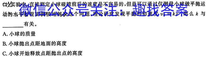 安徽省县中联盟2025届高二12月联考物理`