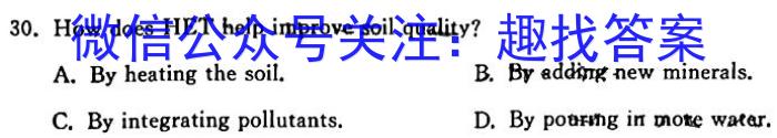 学科网2024届高三1月模拟考试英语