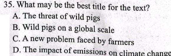 1号卷 A10联盟2024年高考原创信息卷(三)3 英语