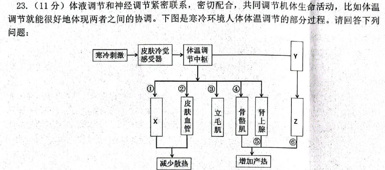 安徽省2023-2024学年七年级（上）全程达标卷·单元达标卷（四）生物学部分