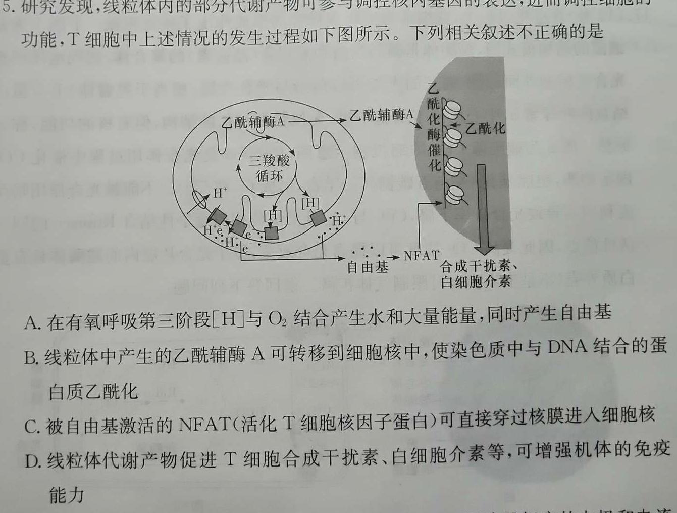 衡中同卷 2023-2024学年度上学期高三年级六调考试生物