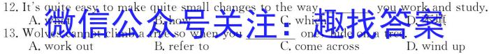 安徽省2023-2024学年八年级上学期教学质量调研(12月)英语