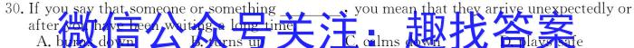 耀正文化 2024届名校名师测评卷(四)英语