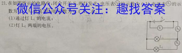 重庆市巴蜀中学2023-2024学年上学期八年级期中考试q物理