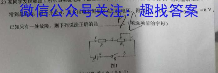 安徽省阜阳市2023-2024学年度九年级第三次月考检测（三）△l物理