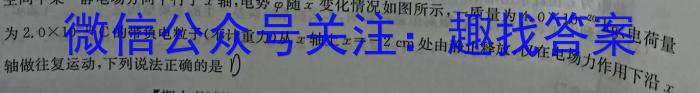 2024届普通高校招生全国统一考试仿真模拟·全国卷 YX-E(一)q物理