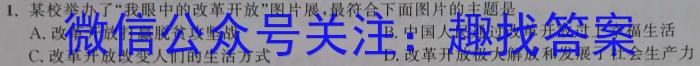 湖北省十堰市2024届九年级下学期3月联考政治~