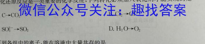 j河北省2023年NT20名校联合体高一年级12月考试化学试卷答案