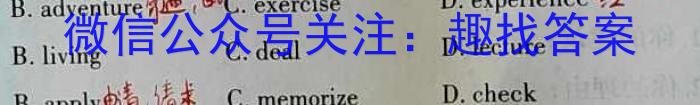 安徽省2023-2024学年九年级（上）全程达标卷·单元达标卷（四）英语