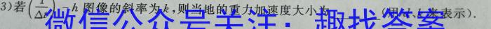 耀正文化 2024届名校名师测评卷(四)l物理