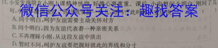 江西省2024届九年级第三次月考（长标）政治~