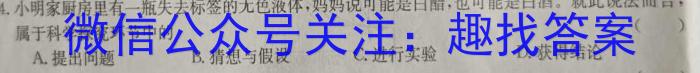 q陕西省2023秋季七年级第二阶段素养达标测试（A卷）基础卷化学