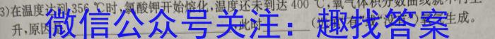 3安徽省2024届九年级第三次月考（二）化学试题