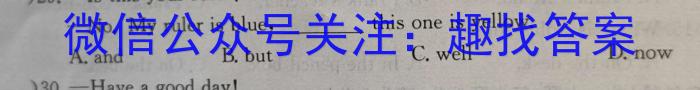 安徽省县中联盟2023-2024学年高一12月联考英语