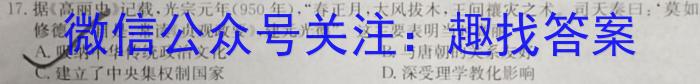 高三总复习 2024届名师原创模拟(九)历史