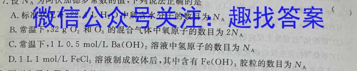 q陕西省2023秋季九年级第二阶段素养达标测试（B卷）巩固卷化学