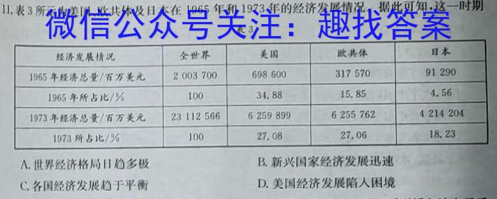 安徽省2024届淮北市淮北二中九年级第四次联考历史