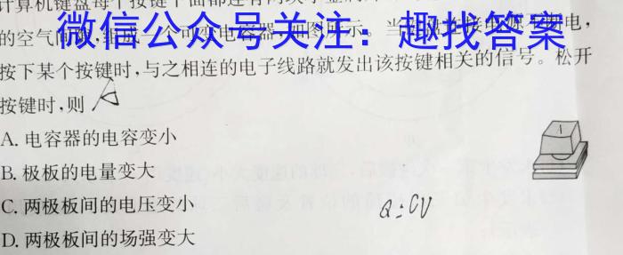 安徽省2024届九年级阶段评估(二)3L R物理`