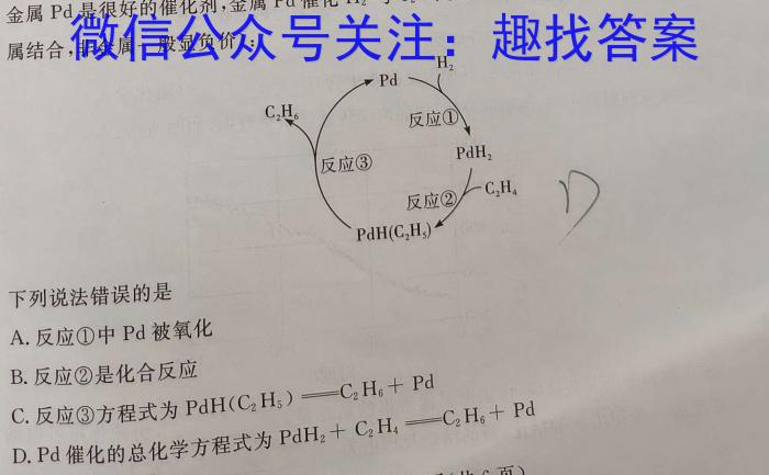 q2024届河南省高二12月联考(24-222B)化学