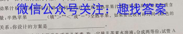 q安徽省合肥市某校2023-2024学年九年级阶段检测化学