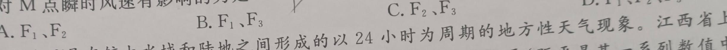 鼎鑫书业2024年普通高等学校招生全国统一考试押题密卷(二)2地理试卷答案。