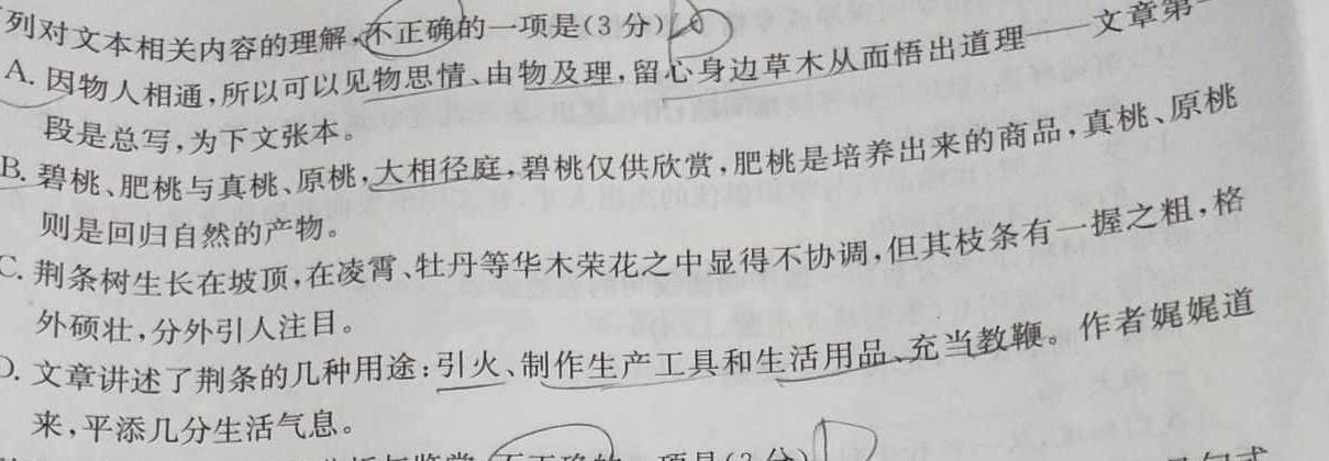 [今日更新]浙江强基联盟2023学年第一学期高二12月联考(24-183B)语文试卷答案