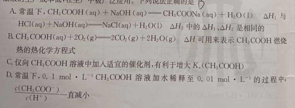 12023-2024学年广东省高一12月联考(24-206A)化学试卷答案