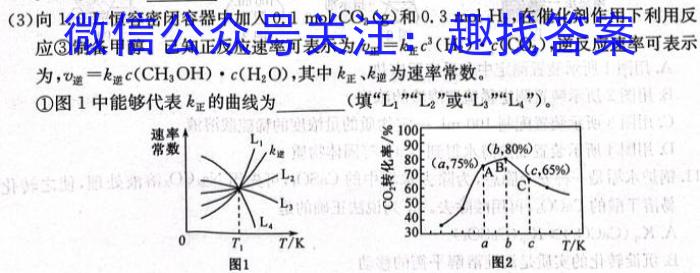 q2024年普通高等学校招生统一考试 最新模拟卷(三)化学