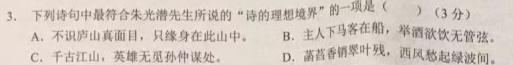 [今日更新]天一大联考2024届高考全真模拟卷(新高考)(湖南专版)(一)语文试卷答案