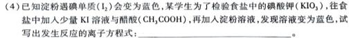 【热荐】［益卷］陕西省2023-2024学年度九年级第一学期课后综合作业（二）化学