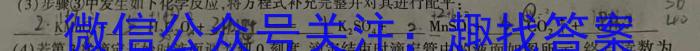 f衡水金卷先享题 2023-2024学年度高三一轮复习摸底测试卷·摸底卷(三)(山东专版)化学