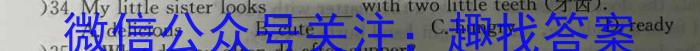 2024届衡水金卷先享题调研卷(JJ·B)(一)英语