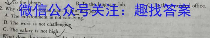 金考卷 百校联盟(新高考卷)2024年普通高等学校招生全国统一考试 领航卷(九)英语