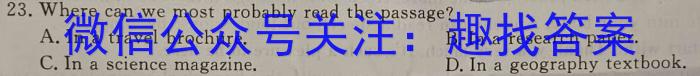 安徽省合肥市2023/2024学年度第一学期九年级学情练习（2）英语