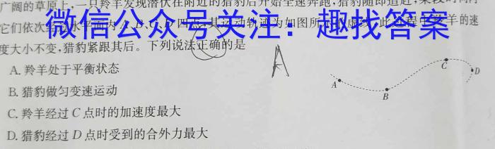 名校联考·2024届高三总复习·月考卷(四)新S4l物理