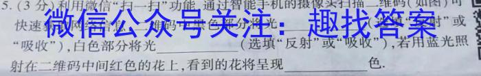 吉林省牡丹江二中2023-2024学年度第一学期高二学年12月月考考试(9091B)l物理